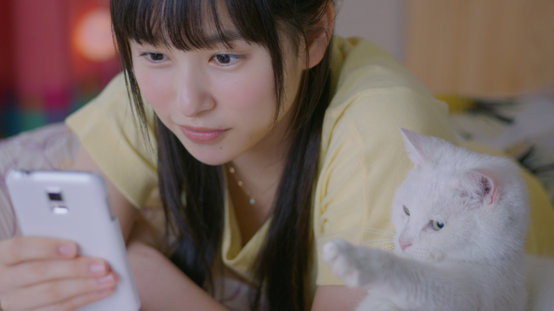 画像集no 008 白猫プロジェクト 桜井日奈子さんと矢作 兼さんを起用した新tvcmが放映