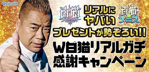 画像ギャラリー No.001のサムネイル画像 / 「白猫プロジェクト」&「白猫テニス」,ニューヨーク旅行などが当たる“W白猫キャンペーン”を実施