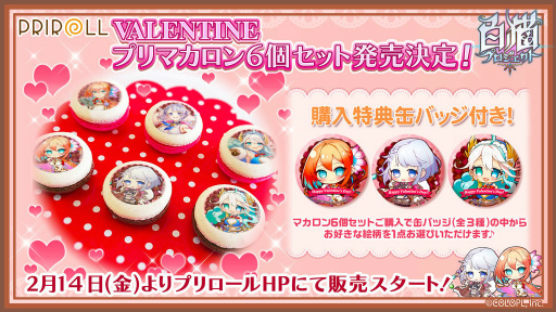 ���������꡼ No.005�Υ���ͥ������ / ����ǭ�ץ��������ȡץƥ��ʡ���ͥ����ե��ʤ��о�