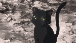 ���������꡼ No.003�Υ���ͥ������ / TV���˥����ǭ�ץ��������� ZERO CHRONICLE����1����ԥ��åȡ����餹����������