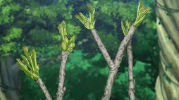 ���������꡼ No.002�Υ���ͥ������ / TV���˥����ǭ�ץ��������� ZERO CHRONICLE��5��18����������ԥ��åȤ�����