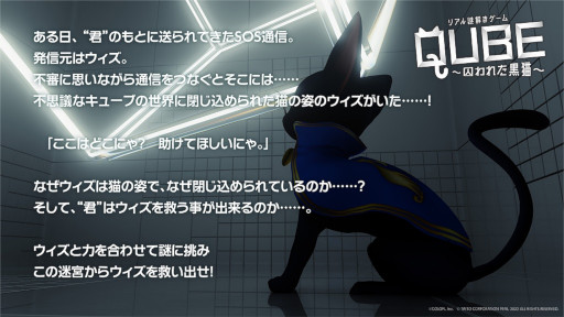 ꡼ No.007 | ǭץȡסˡȤȹǭΥס֥Хȥסڶۿ䥰å󤬸