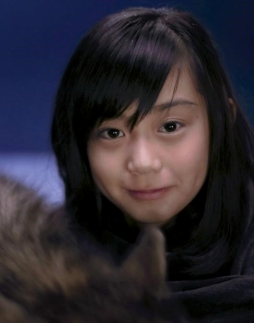 ���������꡼ No.006�Υ���ͥ������ / �־�ȥɥ饴��פο�TVCM��12��23�������ǳ��ϡ�YouTube���������ͥ��ư������