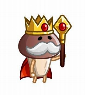 ꡼ No.005 | ־ȥɥ饴ס֤ʤᤳݥåȡפȤΥܥ٥Ȥﳫ