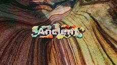 ꡼ No.006 | ֥ݥ󥫡ɥס̤Υݥ󤿤ΥɤˡACE SPECפΥɤ2024ǯо