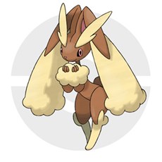 ������#028�Υ���ͥ���/�֥ݥ��åȥ�󥹥��� ���ᥬ��ӡ�������ե����ե������ס�������ƥ�ġ֥ݥ���󥳥�ƥ��ȥ饤�֡��פ俷���ʥᥬ���󥫥ݥ����ʤɤξ��󤬸�����