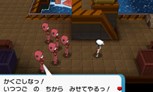 画像集#033のサムネイル/「ポケットモンスター オメガルビー・アルファサファイア」,新コンテンツ「ポケモンコンテストライブ!」や新たなメガシンカポケモンなどの情報が公開に