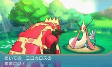 ������#006�Υ���ͥ���/�֥ݥ��åȥ�󥹥��� ���ᥬ��ӡ�������ե����ե������פο����󤬸��������顼�ɥ󡦥����������Ρ֥��󥷥������פ�ޥ����ġ��������Ĥ���Ū�ʤɾ�������