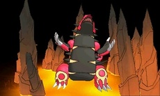 ������#013�Υ���ͥ���/�֥ݥ��åȥ�󥹥��� ���ᥬ��ӡ�������ե����ե������פο����󤬸��������顼�ɥ󡦥����������Ρ֥��󥷥������פ�ޥ����ġ��������Ĥ���Ū�ʤɾ�������