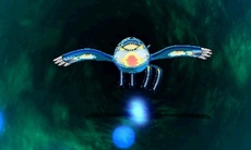 ������#024�Υ���ͥ���/�֥ݥ��åȥ�󥹥��� ���ᥬ��ӡ�������ե����ե������פο����󤬸��������顼�ɥ󡦥����������Ρ֥��󥷥������פ�ޥ����ġ��������Ĥ���Ū�ʤɾ�������