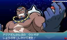 ������#052�Υ���ͥ���/�֥ݥ��åȥ�󥹥��� ���ᥬ��ӡ�������ե����ե������פο����󤬸��������顼�ɥ󡦥����������Ρ֥��󥷥������פ�ޥ����ġ��������Ĥ���Ū�ʤɾ�������