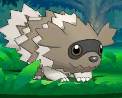 ������#084�Υ���ͥ���/�֥ݥ��åȥ�󥹥��� ���ᥬ��ӡ�������ե����ե������פο����󤬸��������顼�ɥ󡦥����������Ρ֥��󥷥������פ�ޥ����ġ��������Ĥ���Ū�ʤɾ�������