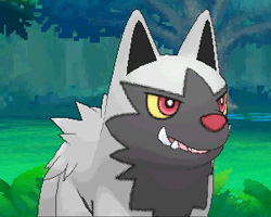 ������#085�Υ���ͥ���/�֥ݥ��åȥ�󥹥��� ���ᥬ��ӡ�������ե����ե������פο����󤬸��������顼�ɥ󡦥����������Ρ֥��󥷥������פ�ޥ����ġ��������Ĥ���Ū�ʤɾ�������