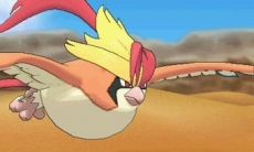 ������#108�Υ���ͥ���/�֥ݥ��åȥ�󥹥��� ���ᥬ��ӡ�������ե����ե������פǤϥݥ������ؤˤޤ���������Ǥ���������ǽ�ˡ������ʥᥬ���󥫥ݥ����䥵�ݡ��ȵ�ǽ�֥ݥ����ޥ���ʥӡפʤ�¿���ο���������