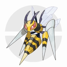 ������#112�Υ���ͥ���/�֥ݥ��åȥ�󥹥��� ���ᥬ��ӡ�������ե����ե������פǤϥݥ������ؤˤޤ���������Ǥ���������ǽ�ˡ������ʥᥬ���󥫥ݥ����䥵�ݡ��ȵ�ǽ�֥ݥ����ޥ���ʥӡפʤ�¿���ο���������