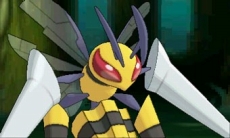 ������#114�Υ���ͥ���/�֥ݥ��åȥ�󥹥��� ���ᥬ��ӡ�������ե����ե������פǤϥݥ������ؤˤޤ���������Ǥ���������ǽ�ˡ������ʥᥬ���󥫥ݥ����䥵�ݡ��ȵ�ǽ�֥ݥ����ޥ���ʥӡפʤ�¿���ο���������