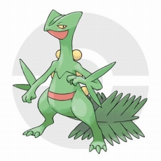 ������#118�Υ���ͥ���/�֥ݥ��åȥ�󥹥��� ���ᥬ��ӡ�������ե����ե������פǤϥݥ������ؤˤޤ���������Ǥ���������ǽ�ˡ������ʥᥬ���󥫥ݥ����䥵�ݡ��ȵ�ǽ�֥ݥ����ޥ���ʥӡפʤ�¿���ο���������