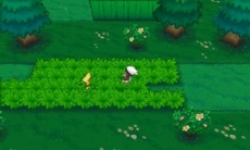 ������#146�Υ���ͥ���/�֥ݥ��åȥ�󥹥��� ���ᥬ��ӡ�������ե����ե������פǤϥݥ������ؤˤޤ���������Ǥ���������ǽ�ˡ������ʥᥬ���󥫥ݥ����䥵�ݡ��ȵ�ǽ�֥ݥ����ޥ���ʥӡפʤ�¿���ο���������