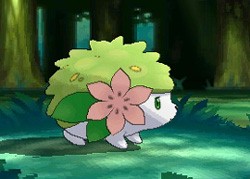 画像集no 037 ポケモン オメガルビー アルファサファイア 幻のポケモン3匹がもらえるキャンペーンを実施 画像集no 037 ポケモン オメガルビー アルファサファイア 幻のポケモン3匹がもらえるキャンペーンを実施