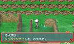 画像集#154のサムネイル/「ポケットモンスター オメガルビー・アルファサファイア」,マボロシのばしょで伝説のポケモン達に会う条件や,メガストーンの入手方法がすべて公開に