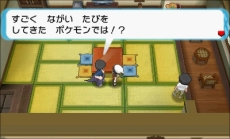 ���������꡼ No.022�Υ���ͥ������ / �֥ݥ��åȥ�󥹥��� ���ᥬ��ӡ�������ե����ե������ס����֤��Ĥ���Ϥ���ä����Υݥ���󡦥ա��Ѥ�¸�ߤ����餫��