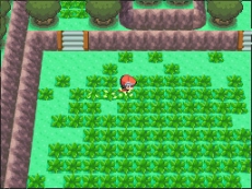 ���������꡼ No.028�Υ���ͥ������ / �֥ݥ��åȥ�󥹥��� ���ᥬ��ӡ�������ե����ե������ס����֤��Ĥ���Ϥ���ä����Υݥ���󡦥ա��Ѥ�¸�ߤ����餫��