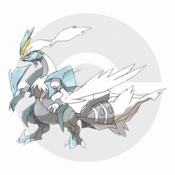 ���������꡼ No.077�Υ���ͥ������ / �֥ݥ��åȥ�󥹥����׸��Υݥ����֥ա��ѡפ���������Ƥ������λѤ�����