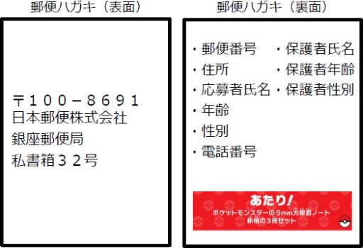 ポケモン アニメ仕様の3dsテーマや豪華グッズがもらえるキャンペーン 3月18日から