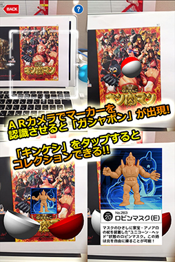 キンケシコレクション