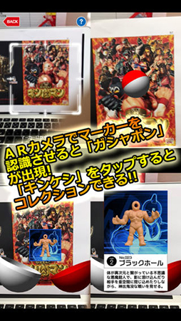 キンケシコレクション