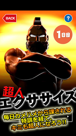 キンケシコレクション