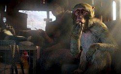 ������#006�Υ���ͥ���/��E3 2014�Ͽ͵����꡼���ǿ����Far Cry 4�פΥץ��ǥ塼�����˥��󥿥ӥ塼���ݤ��ؤˤޤ����äơ������밭�ͤɤ�򽳻��餽��