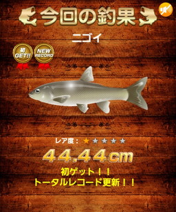 画像ギャラリー No.005のサムネイル画像 / スゴ得コンテンツ「定番ゲーム集！」に釣りゲーム「釣ろうぜ1000!」が追加