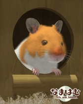 ���������꡼ No.002�Υ���ͥ������ / �֤ʤޤϤ�פΥϥॹ��������������֤ʤޤϤ�ҤȤդǡס����֥����ླྀ�� �ѥ��롦�������ϸ�for���������ɲ�