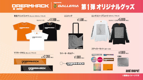 ꡼ No.009 | DreamHack Japan 2023סR6Sơ參ɤȽб饲Ȥȯɽ֥ۥġ쥬פѤγŤ
