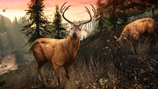 ꡼ No.003Υͥ / PCǡGrand Theft Auto Vס̵åץ졼ɤ34˼»ܡHSWοʪо졤GTA+СåפѲǽ