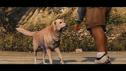 ꡼ No.010Υͥ / ǿ嵡ǡ֥ɡեȡVפܸPVȥǤȤӤѤãλѤǧƤ٤