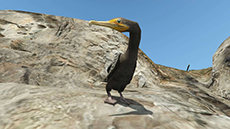 ������#013�Υ���ͥ���/�֥����ɡ����եȡ�������V�ס��ץ쥤�䡼��ưʪ���ѿȤǤ��륵�ܥƥ�μ¡֥ڥ衼�ơפȡ����ȥ꡼�ȥ����ȡ֥�󥭡��⥶�����פ˴ؤ�����󤬸���