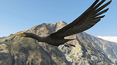 ������#014�Υ���ͥ���/�֥����ɡ����եȡ�������V�ס��ץ쥤�䡼��ưʪ���ѿȤǤ��륵�ܥƥ�μ¡֥ڥ衼�ơפȡ����ȥ꡼�ȥ����ȡ֥�󥭡��⥶�����פ˴ؤ�����󤬸���