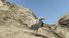 ������#015�Υ���ͥ���/�֥����ɡ����եȡ�������V�ס��ץ쥤�䡼��ưʪ���ѿȤǤ��륵�ܥƥ�μ¡֥ڥ衼�ơפȡ����ȥ꡼�ȥ����ȡ֥�󥭡��⥶�����פ˴ؤ�����󤬸���