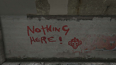 ������#022�Υ���ͥ���/�֥����ɡ����եȡ�������V�ס��ץ쥤�䡼��ưʪ���ѿȤǤ��륵�ܥƥ�μ¡֥ڥ衼�ơפȡ����ȥ꡼�ȥ����ȡ֥�󥭡��⥶�����פ˴ؤ�����󤬸���