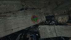 ������#023�Υ���ͥ���/�֥����ɡ����եȡ�������V�ס��ץ쥤�䡼��ưʪ���ѿȤǤ��륵�ܥƥ�μ¡֥ڥ衼�ơפȡ����ȥ꡼�ȥ����ȡ֥�󥭡��⥶�����פ˴ؤ�����󤬸���