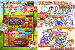 画像集#003のサムネイル/脳活パズルゲーム「ねこねこフルーツ♪」がGoogle Playで本日配信に