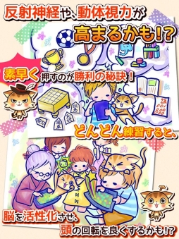 �ͤ��ͤ��ե롼�Ģ�