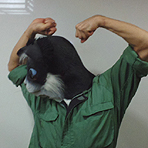 ������#006�Υ���ͥ���/��FINAL FANTASY EXPLORERS�ס�������ե���99̾�Ρȥꥢ������ɤ�ޤȤ᤿������θ��񥲡��ޡ��ꥢ��ܥ��� 99�פ�����