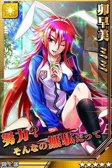 ���������꡼ No.006�Υ���ͥ������ / �ַ��͡��֥쥤���ر�סȷ㥬����ɤΥ����ɥ饤��ʥåפ�������˥塼����