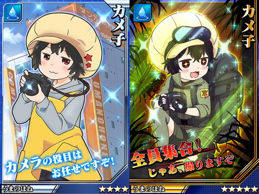 ꡼ No.005Υͥ / ַ֥͡쥤رפΡ֥ǥ󥭳ܲץܥ٥Ȥﳫ