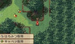 ꡼ No.004Υͥ / Ի׵ĤιפȡԻ׵ĤιΥӥ󥹡פָ50OFF