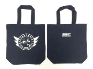 ꡼ No.002 | SONIC ADVENTURE MUSIC EXPERIENCEפ餬2017ǯ19˷