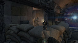 ꡼ No.003Υͥ / ֥ȥ åפΥץ⡼ࡼӡ2Ƥˡ꡼㡼ȤƮѤͻҤʤɡŪʾ̤Ͽ